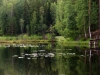 Seeansicht